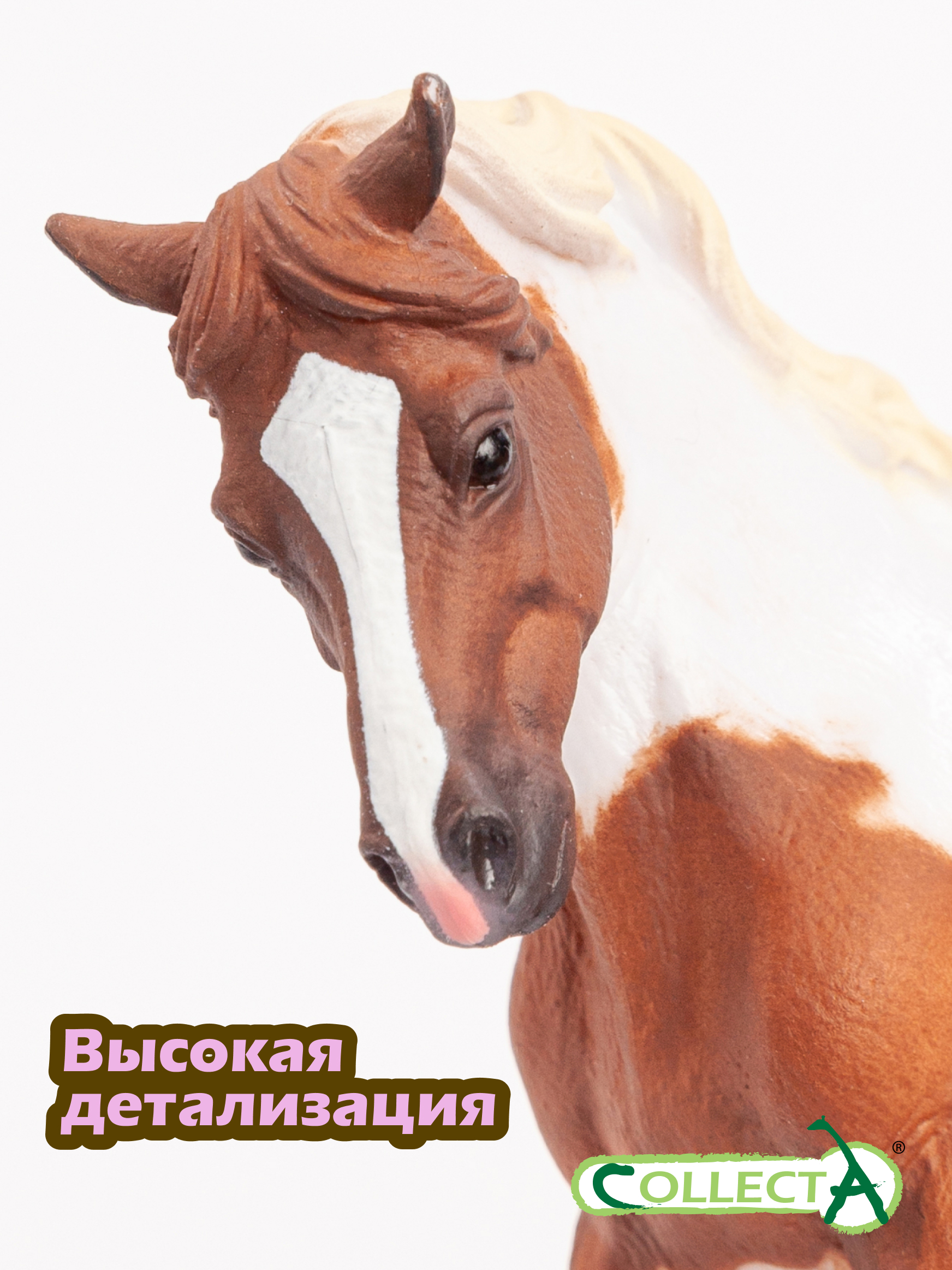 Фигурка Collecta Чинкотигский пони - фото 3