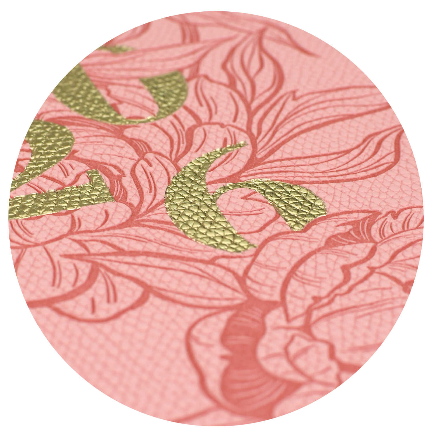 Ежедневник Феникс + ESCALADA 96 лист. - фото 2