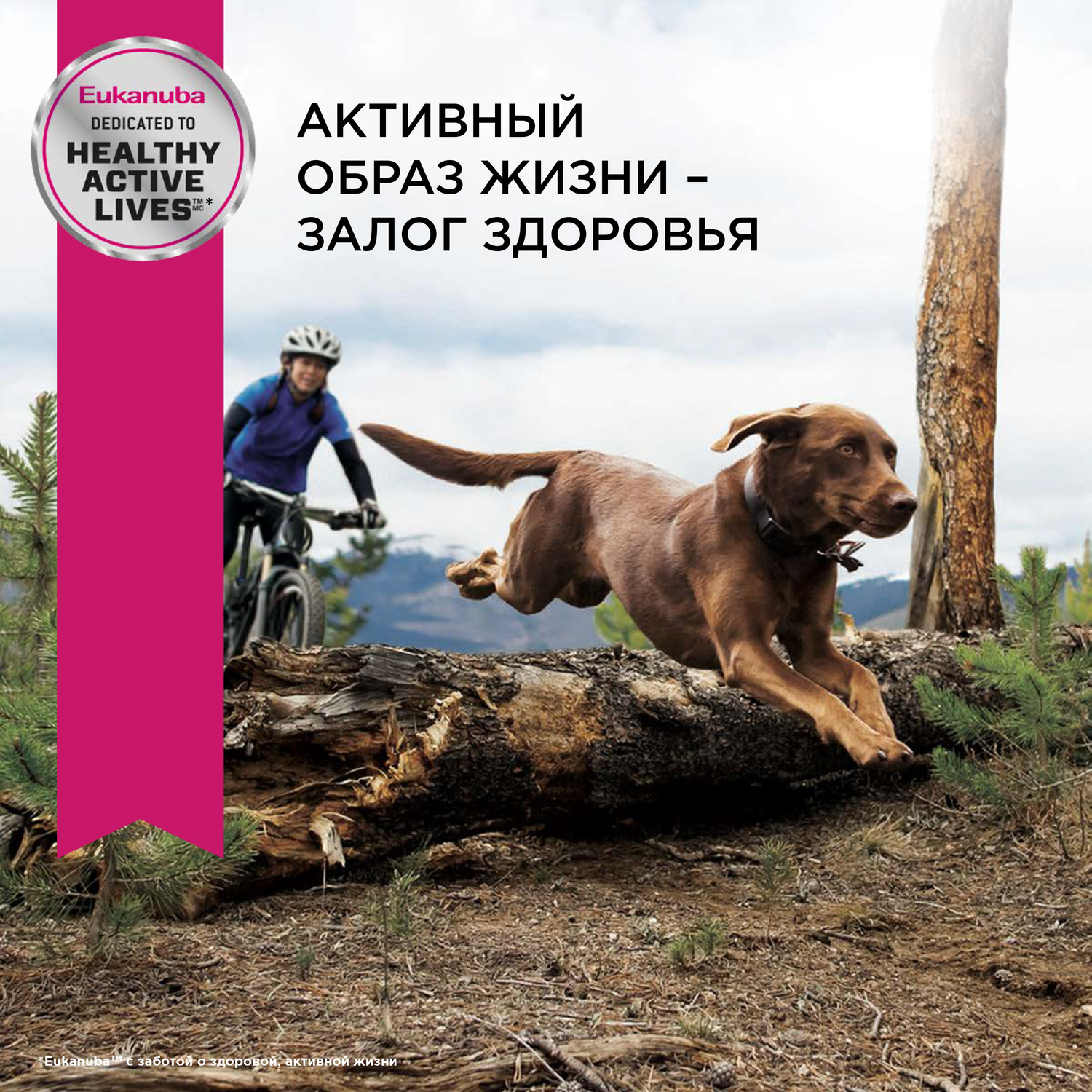 Корм Eukanuba Dog 3кг для взрослых собак крупных пород сухой - фото 9