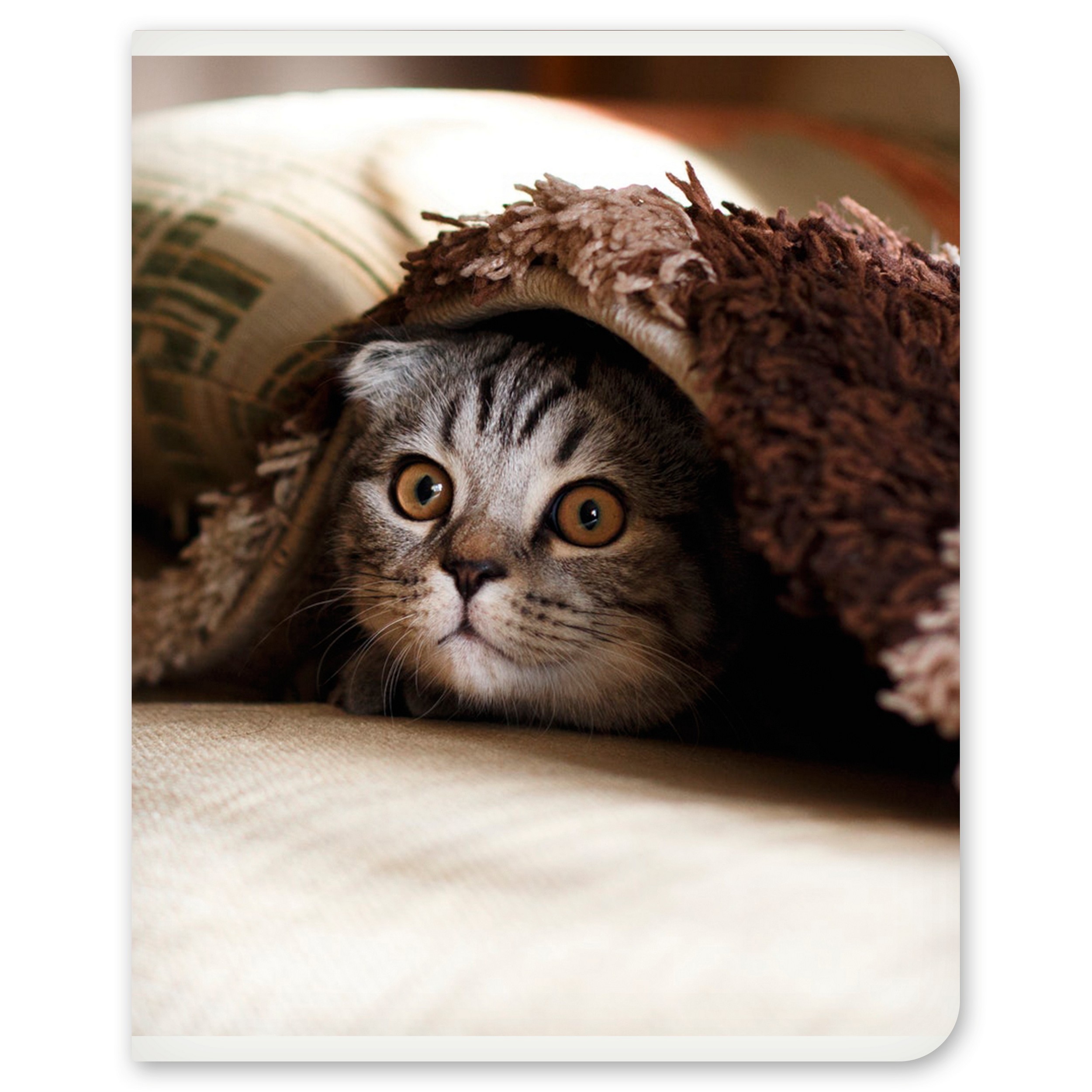 Общая тетрадь Полиграф Принт клетка 48 лист. в ассортименте - фото 4