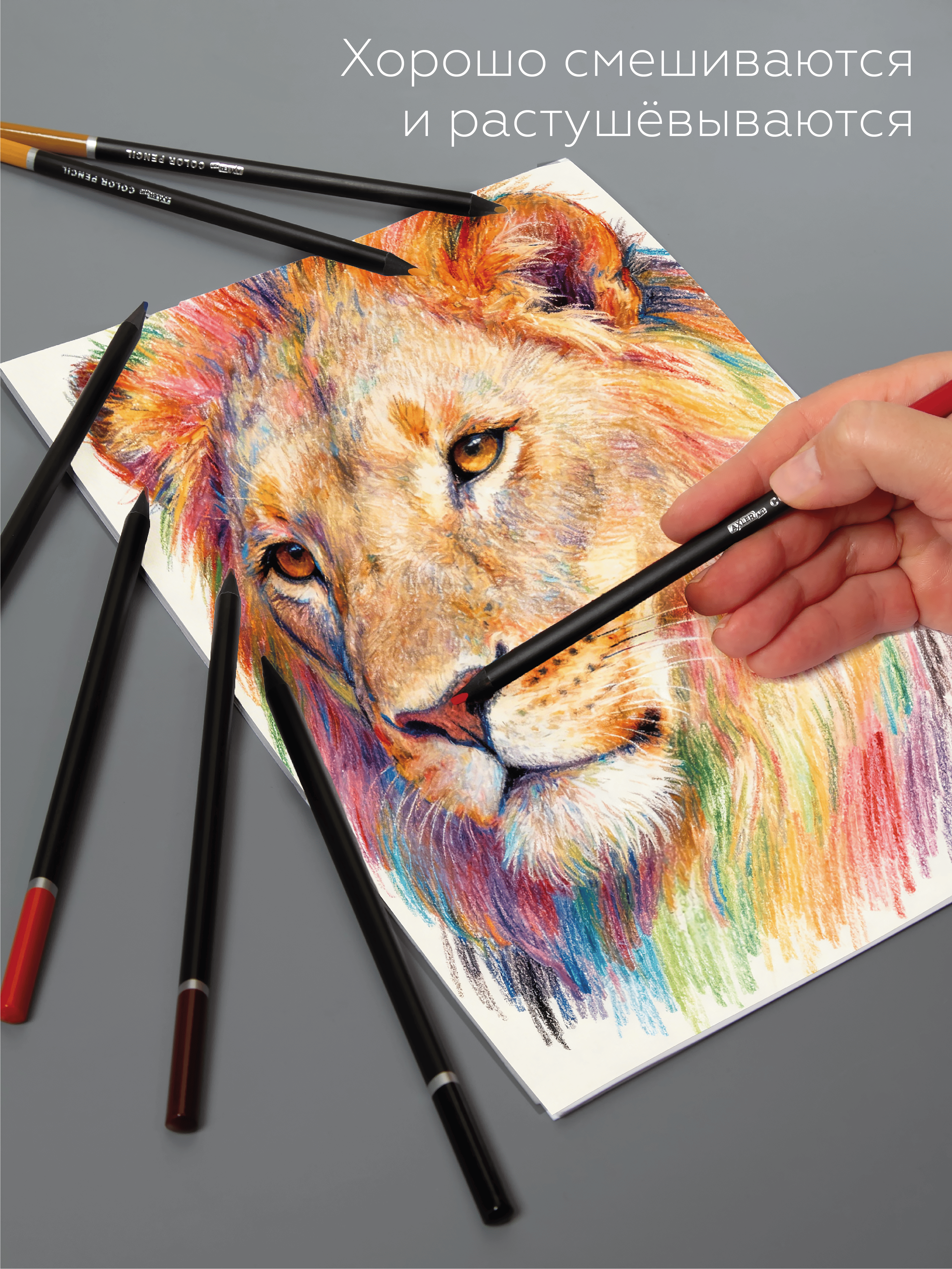 Карандаши цветные AXLER 24 шт. - фото 3