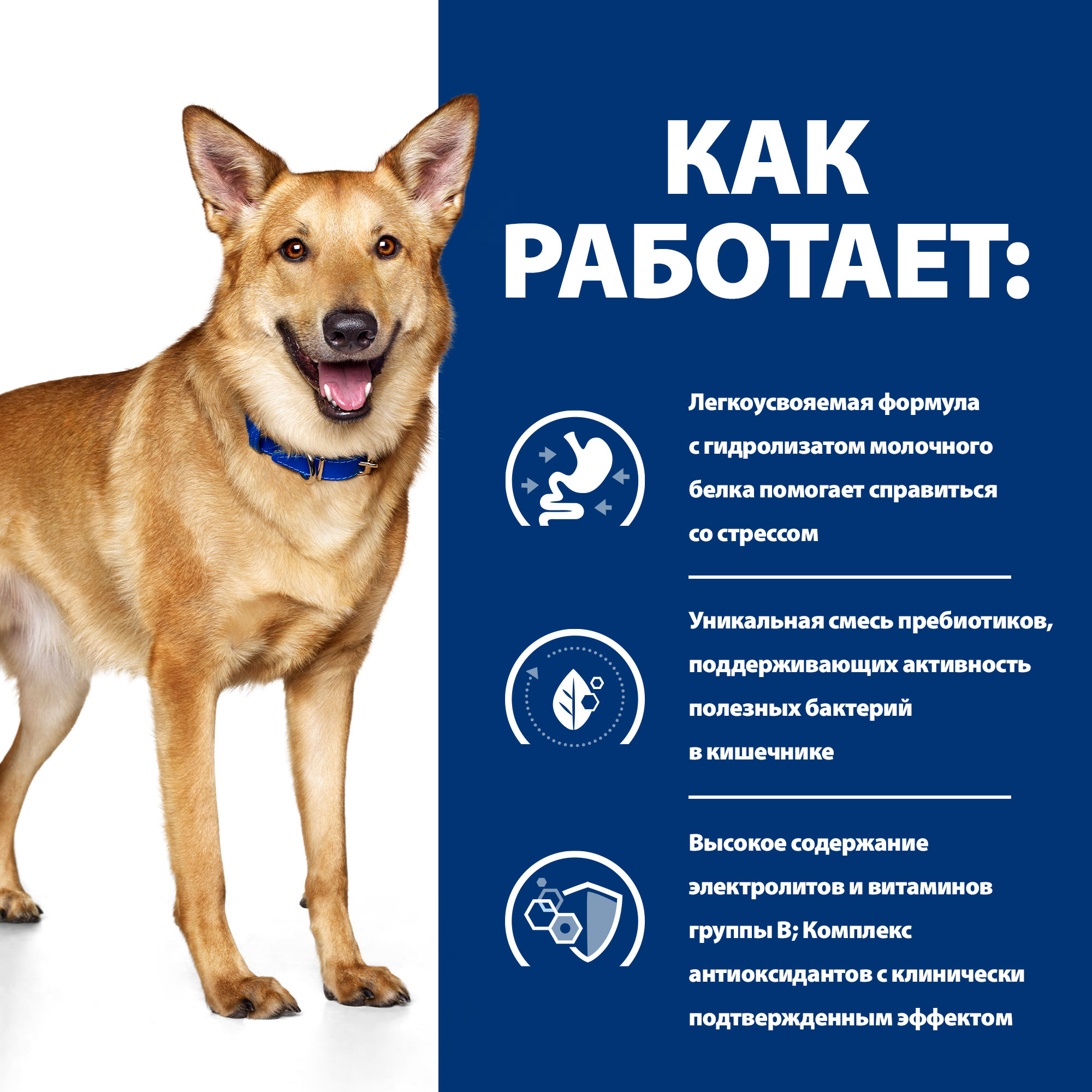Корм для собак HILLS 200г Prescription Diet i/d при расстройствах пищеварения ЖКТ диетические консервы с индейкой - фото 4