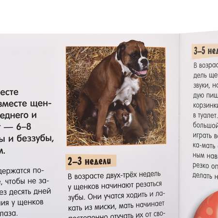 Книга Лабиринт Прикольный подарок Гавшоу