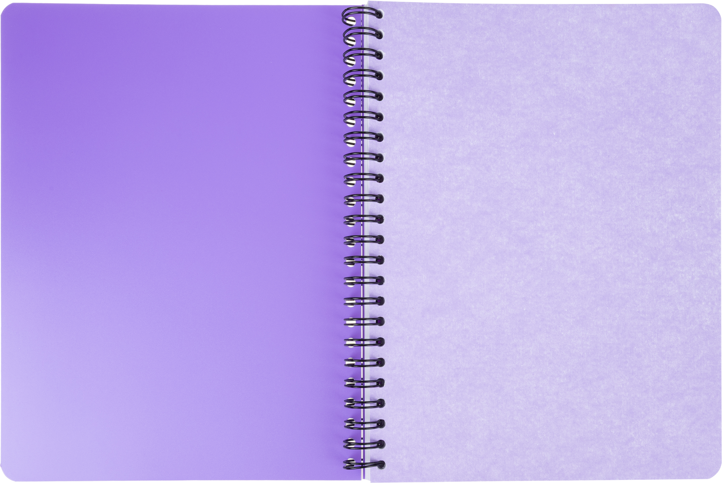 Тетрадь Attache клетка 96 лист. - фото 10