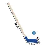 Набор для хоккея Задира клюшка детская + шайба