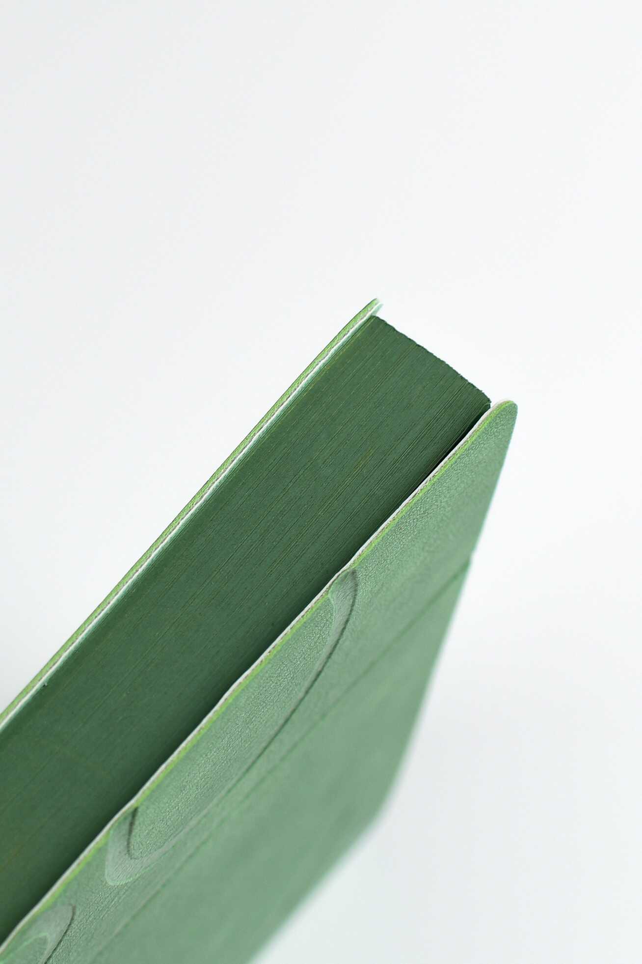 Ежедневник Феникс + ESCALADA 176 лист. - фото 7