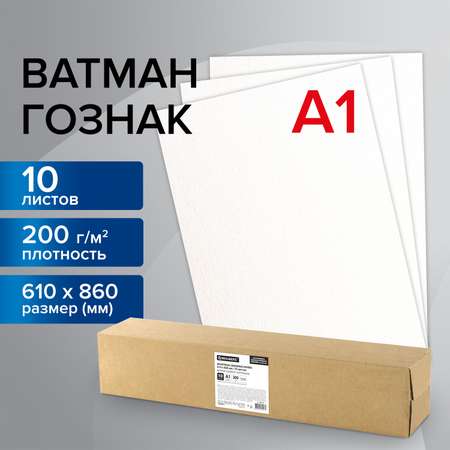 Ватман Brauberg 10 лист.