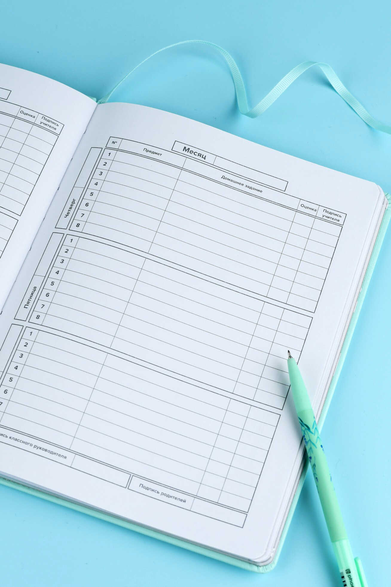 Дневник школьный Феникс + Серебряный котенок - фото 10