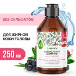 Шампунь Synergetic