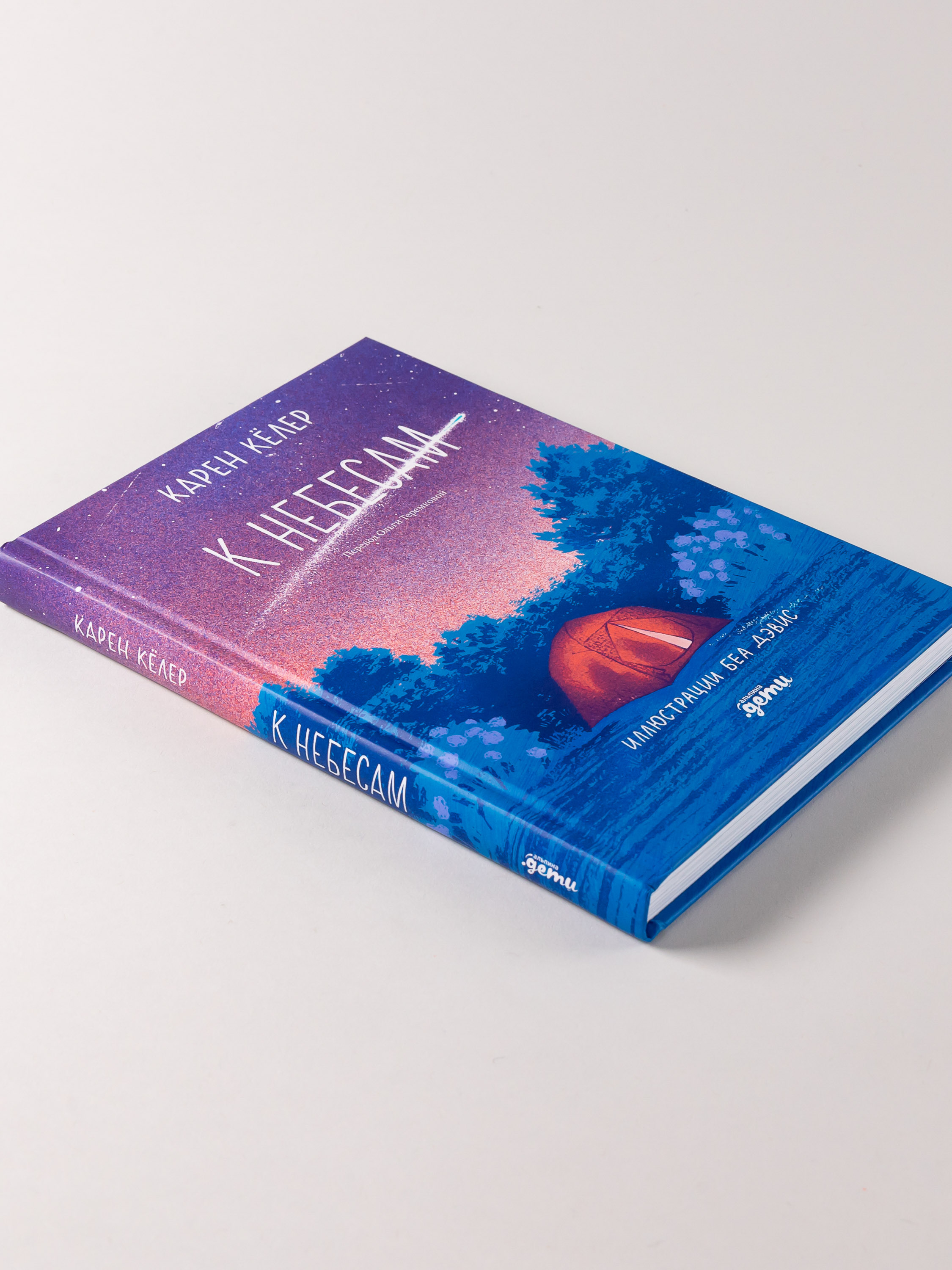 Книга Альпина. Дети К небесам - фото 5