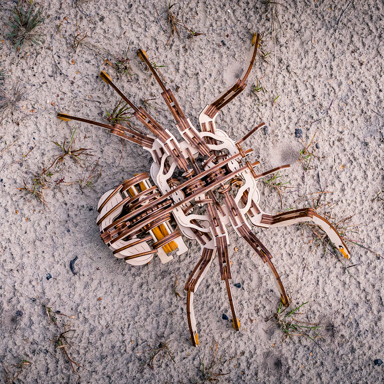 Конструктор Eco Wood Art Spider Паук деревянный - фото 8
