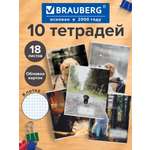 Тетрадь Brauberg клетка 18 лист. 10 шт.