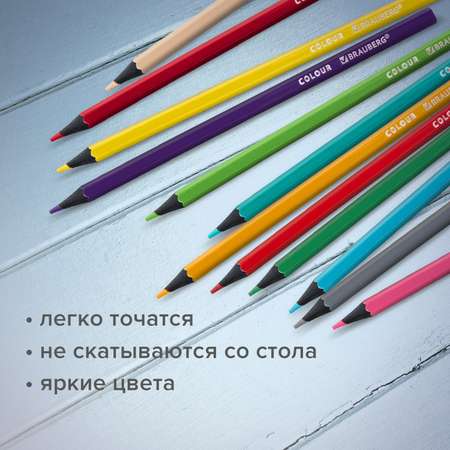 Карандаши цветные Brauberg 24 шт.
