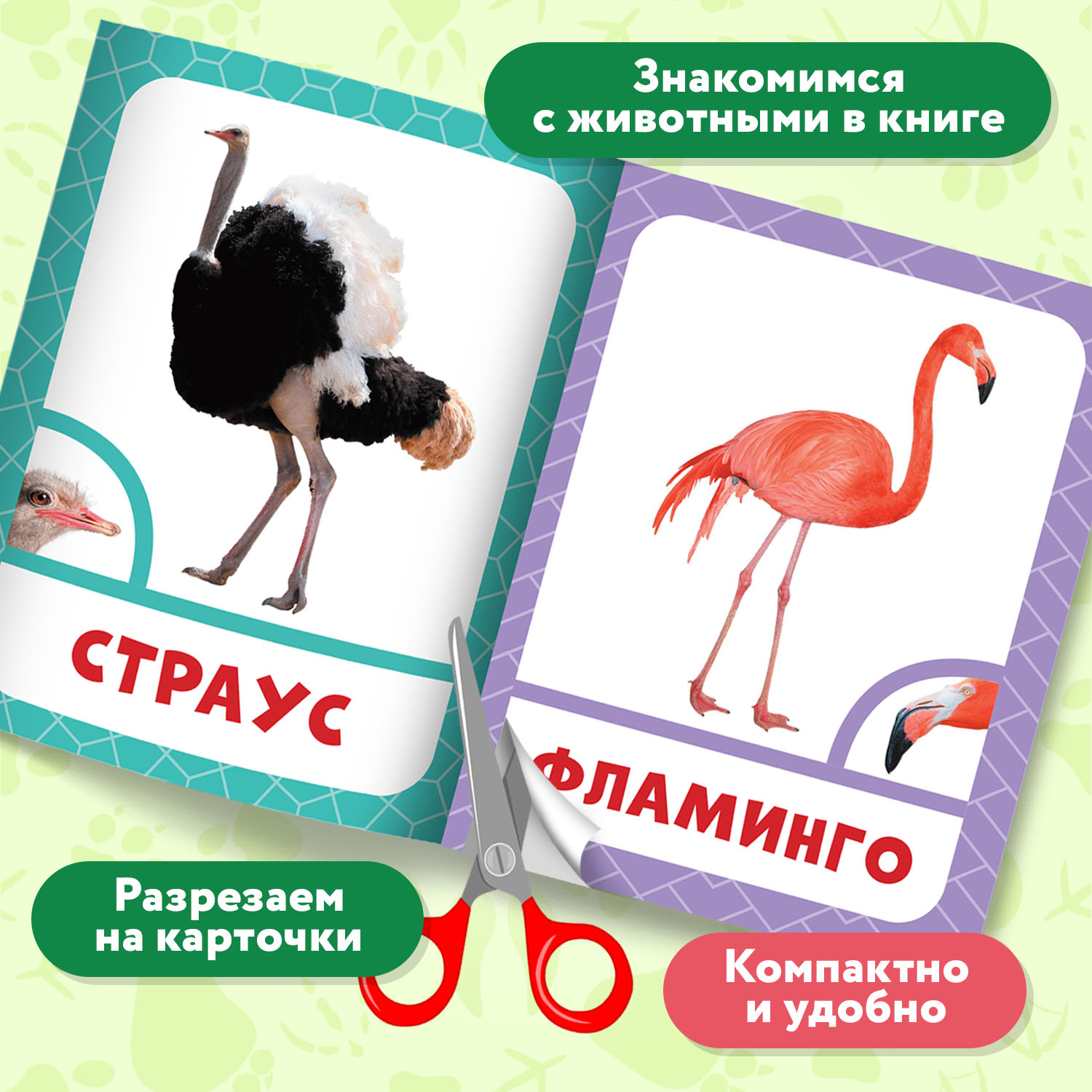Набор из 3 книг Феникс Премьер Запуск речи с рождения. Животные леса. Животные фермы. Птицы - фото 6