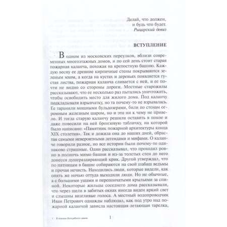 Книга Лада В поисках волшебного камня