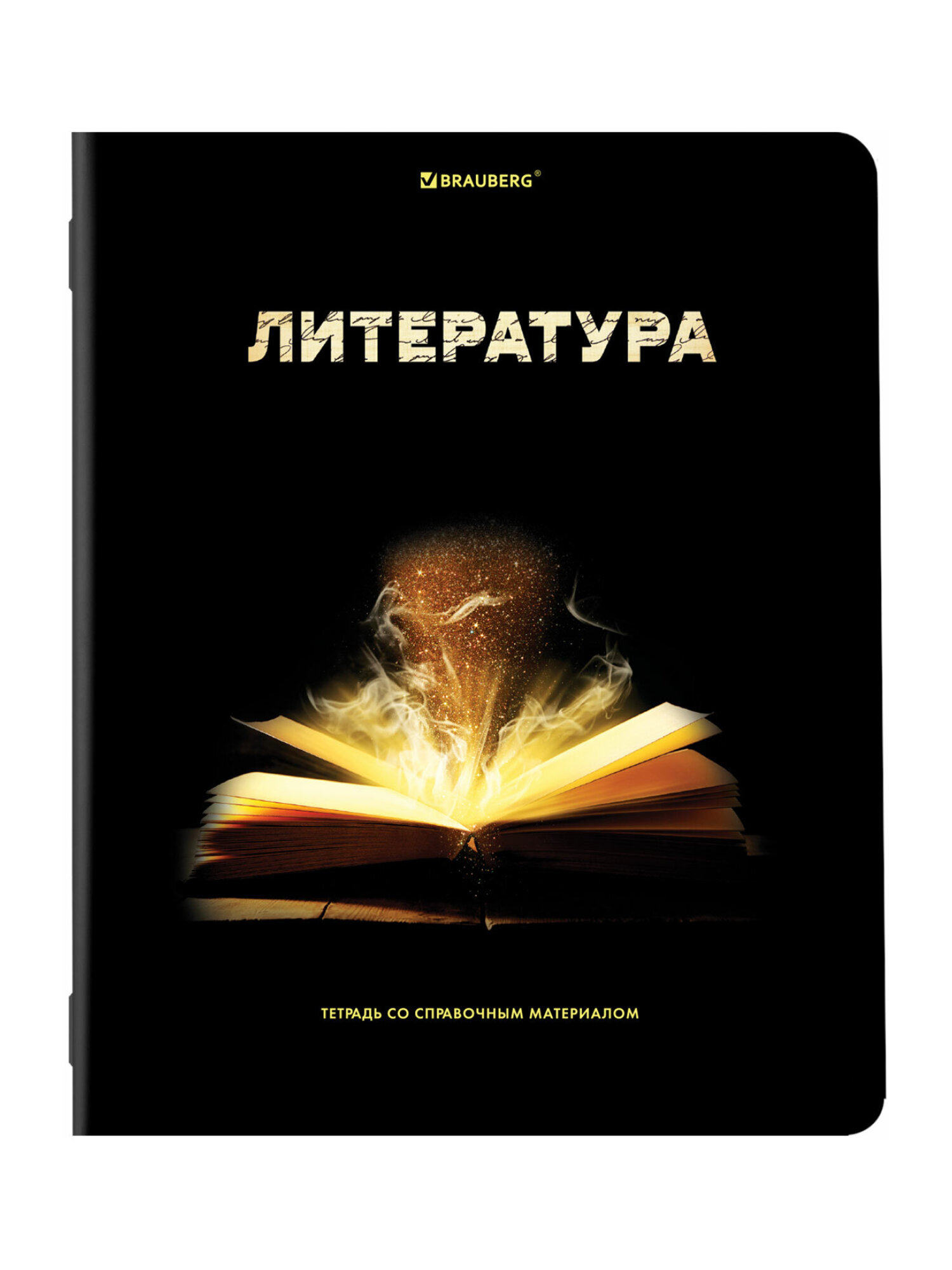Тетрадь Brauberg 48 лист. 12 шт. - фото 13