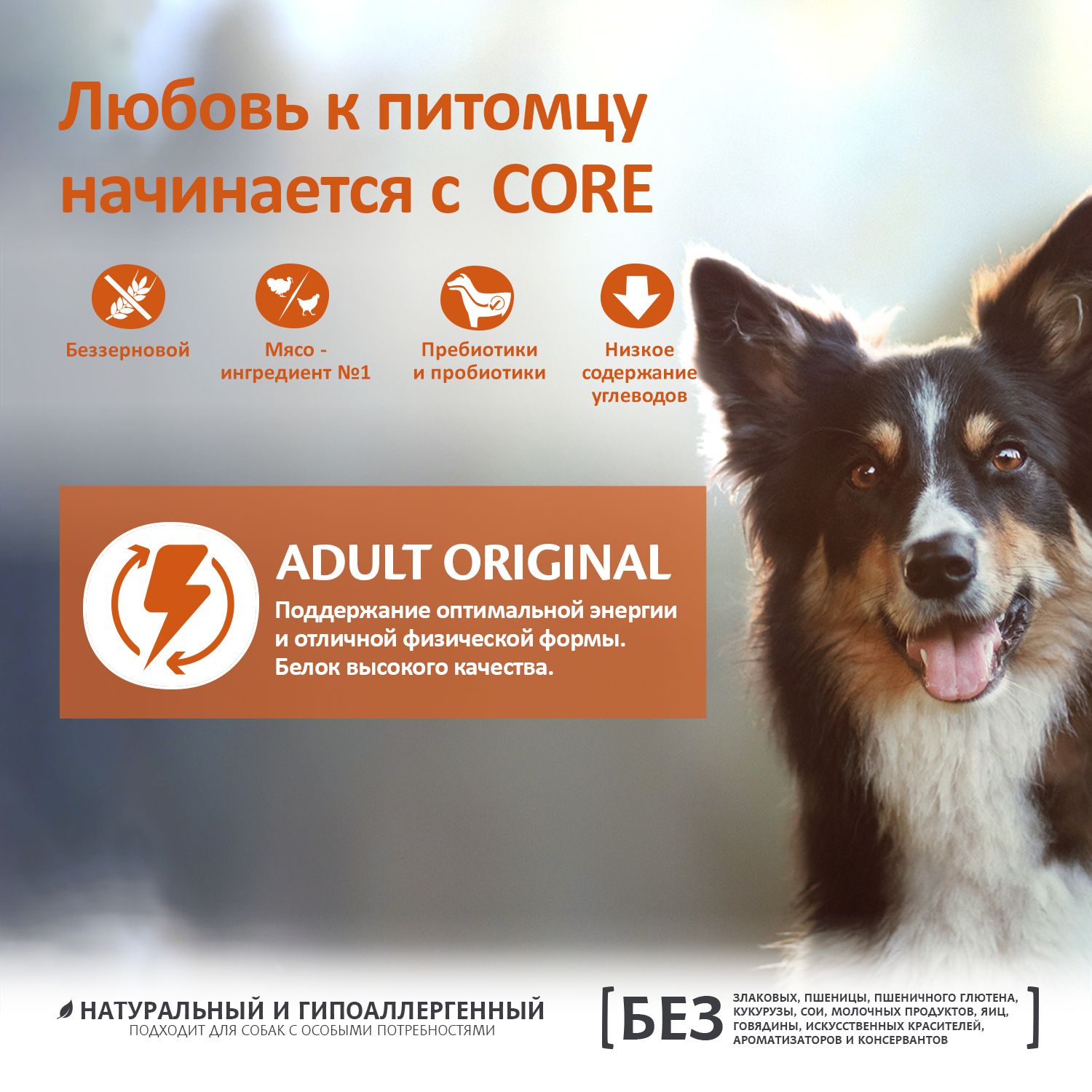 Корм для собак Wellness CORE взрослых средних индейка курица 10кг - фото 7