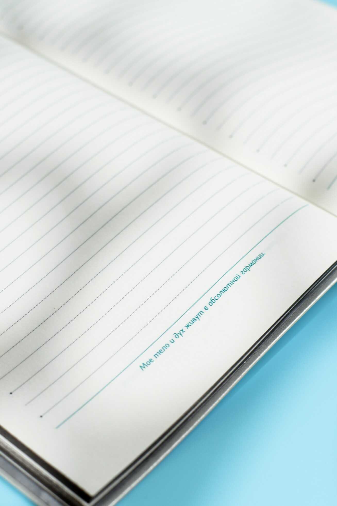 Ежедневник Феникс + ESCALADA 160 лист. - фото 12