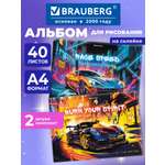 Альбом Brauberg А4 40 лист. 2 шт.