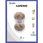 Пряжа для вязания Astra Premium карелия носочная шерсть нейлон 100 гр 400 м цвет 1003 2 мотка