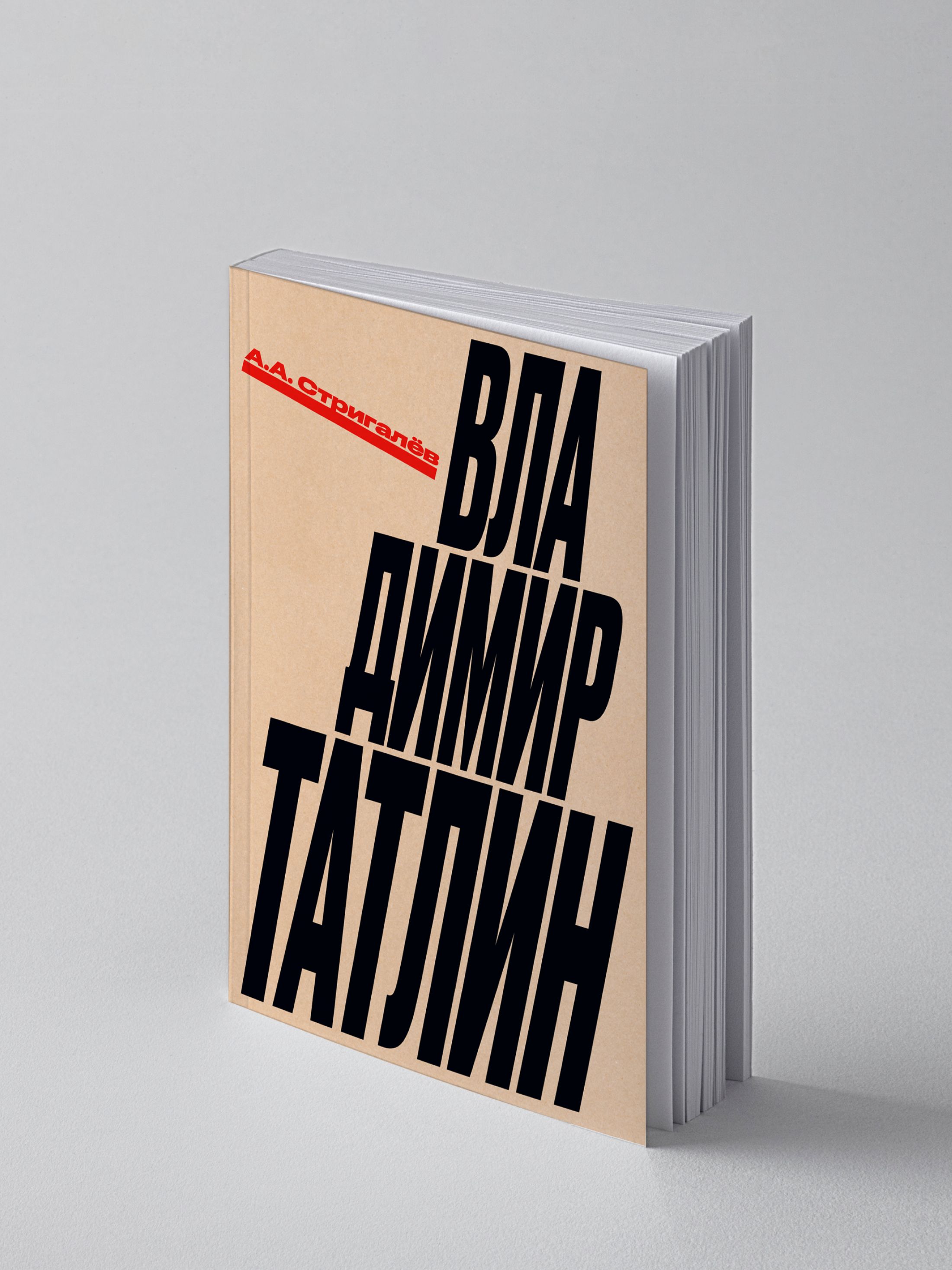 Книга Ad Marginem Владимир Татлин - фото 2