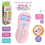 Игрушка Zabiaka пульт