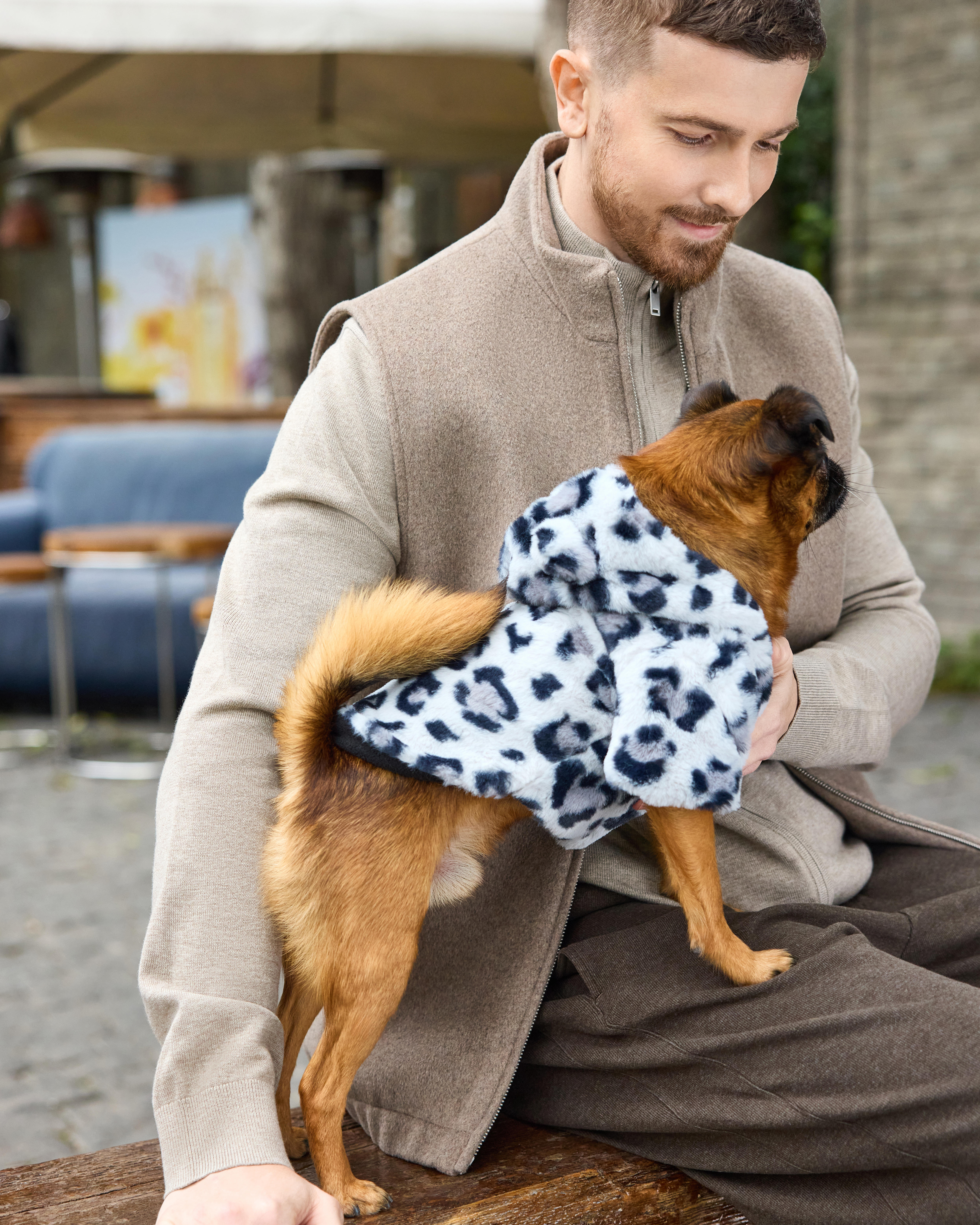 Куртка для собак и кошек Зоозавр - фото 12