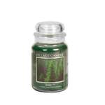 Свеча Village Candle ароматическая Хвойный Лес 4260037