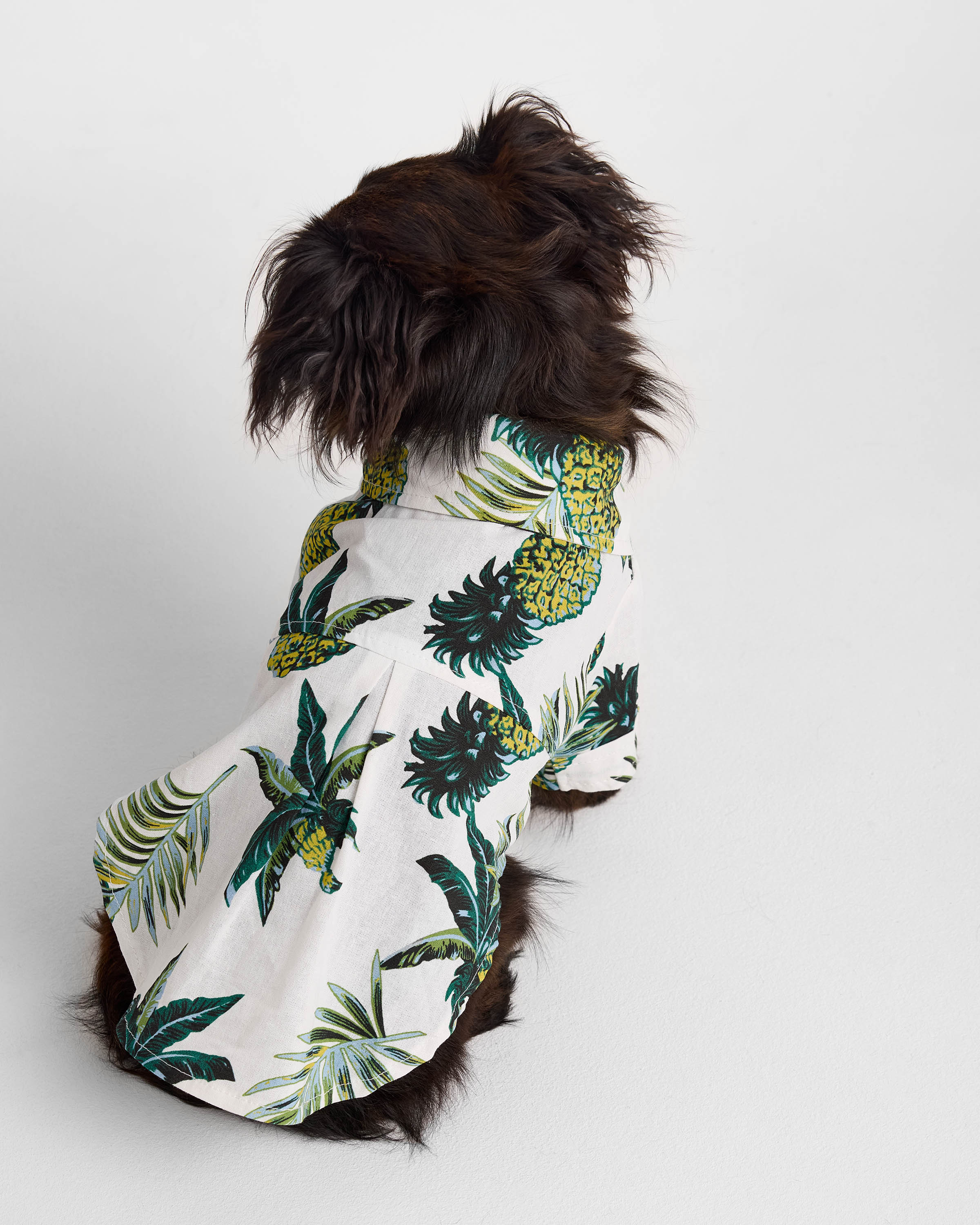 Рубашка для собак и кошек Зоозавр - фото 4