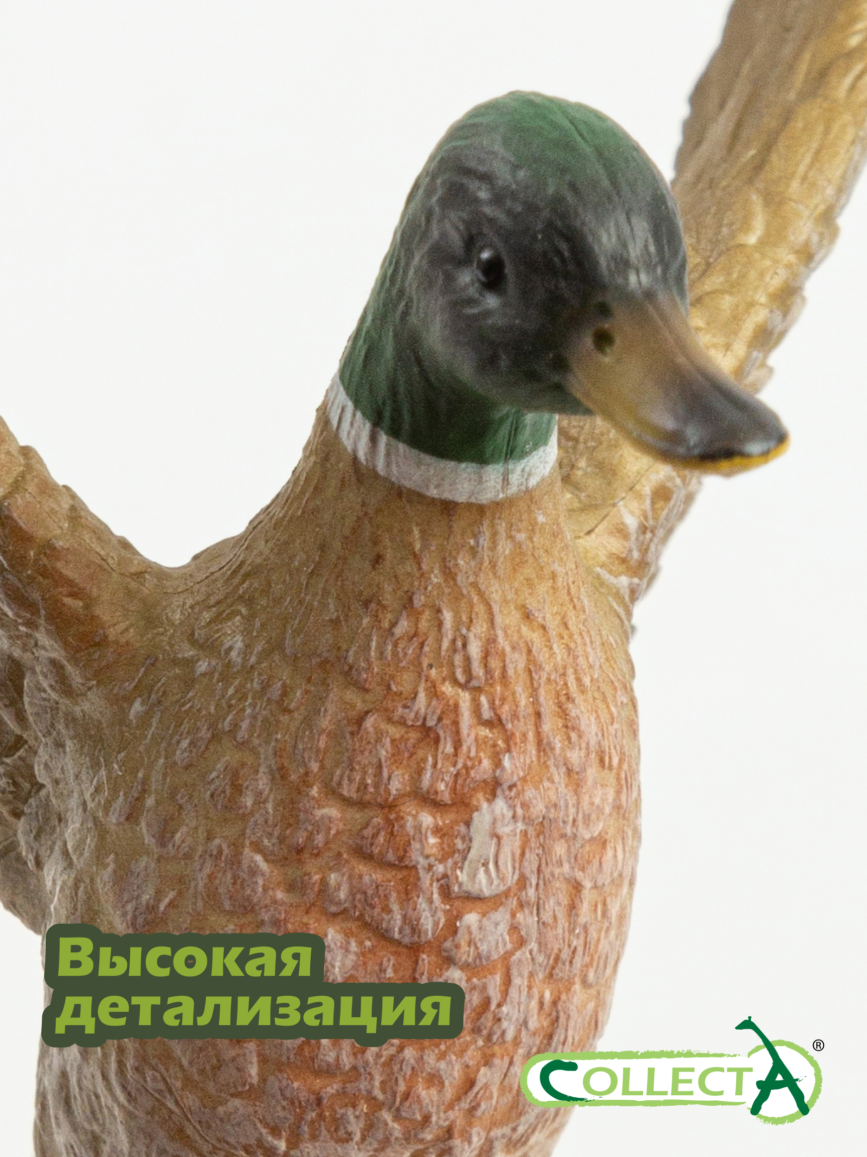 Фигурка Collecta Дикий селезень 5 см - фото 3