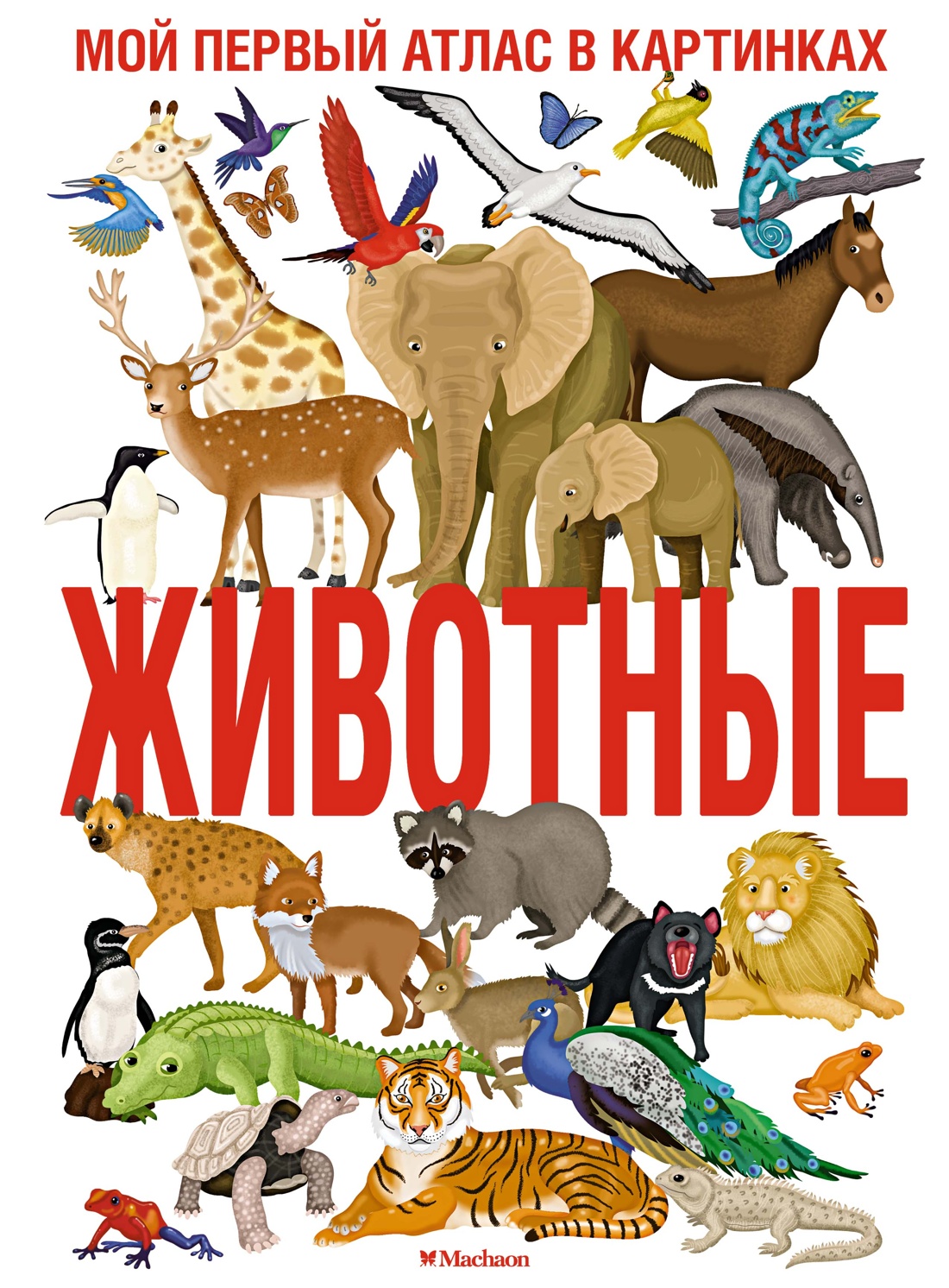 Книга Махаон Животные. Мой первый атлас в картинках. - фото 1