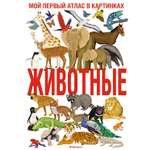 Книга Махаон Животные. Мой первый атлас в картинках.