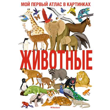 Книга Махаон Животные. Мой первый атлас в картинках.