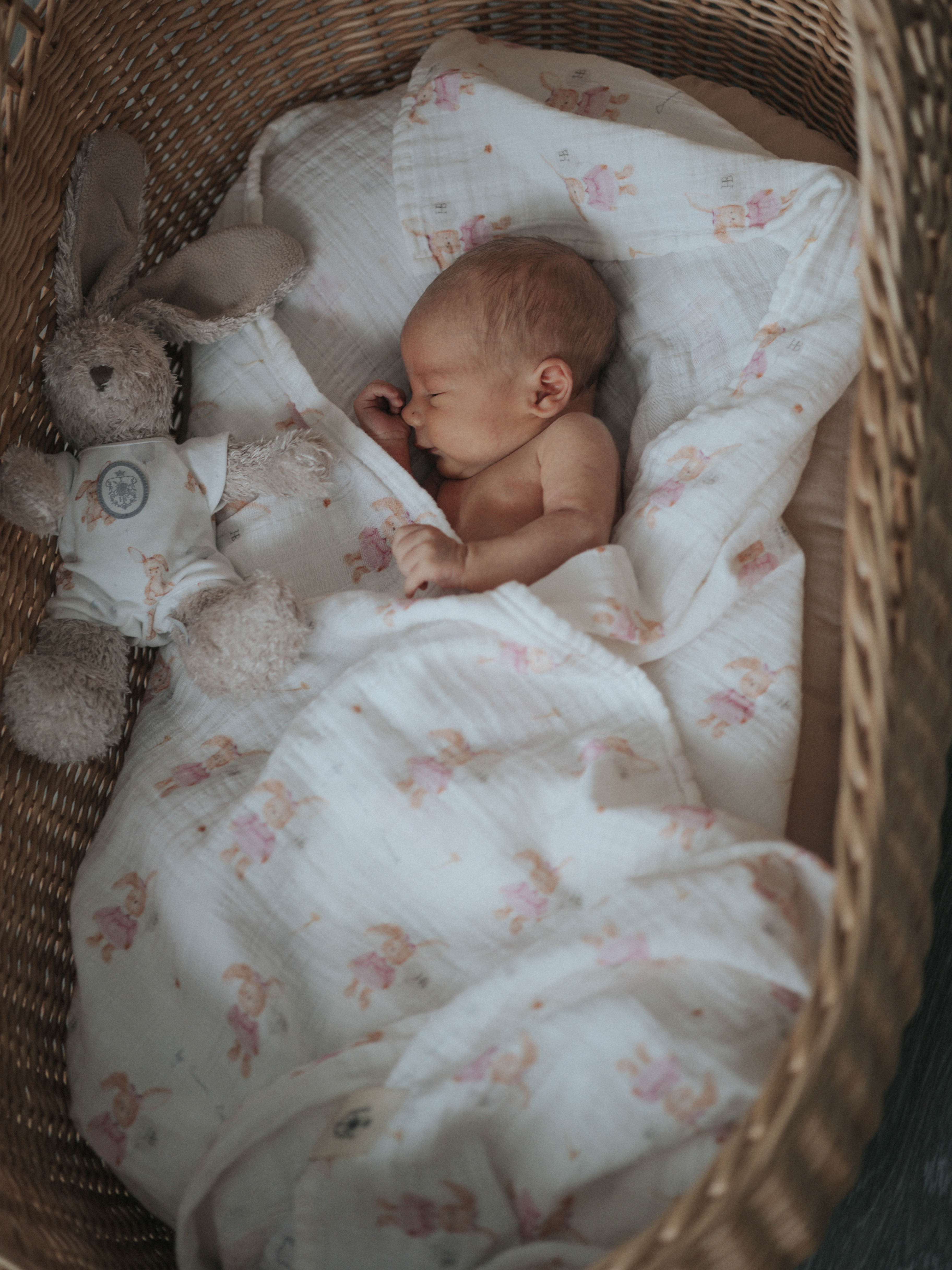 Пелёнка НаследникЪ Выжанова Набор муслиновых пеленок муслин 120х120 см 2 шт. - фото 1