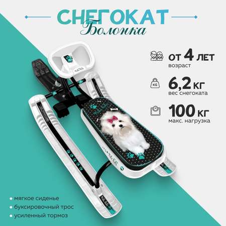 Снегокат NiKA kids Тимка СПОРТ 2+, болонка мягкие