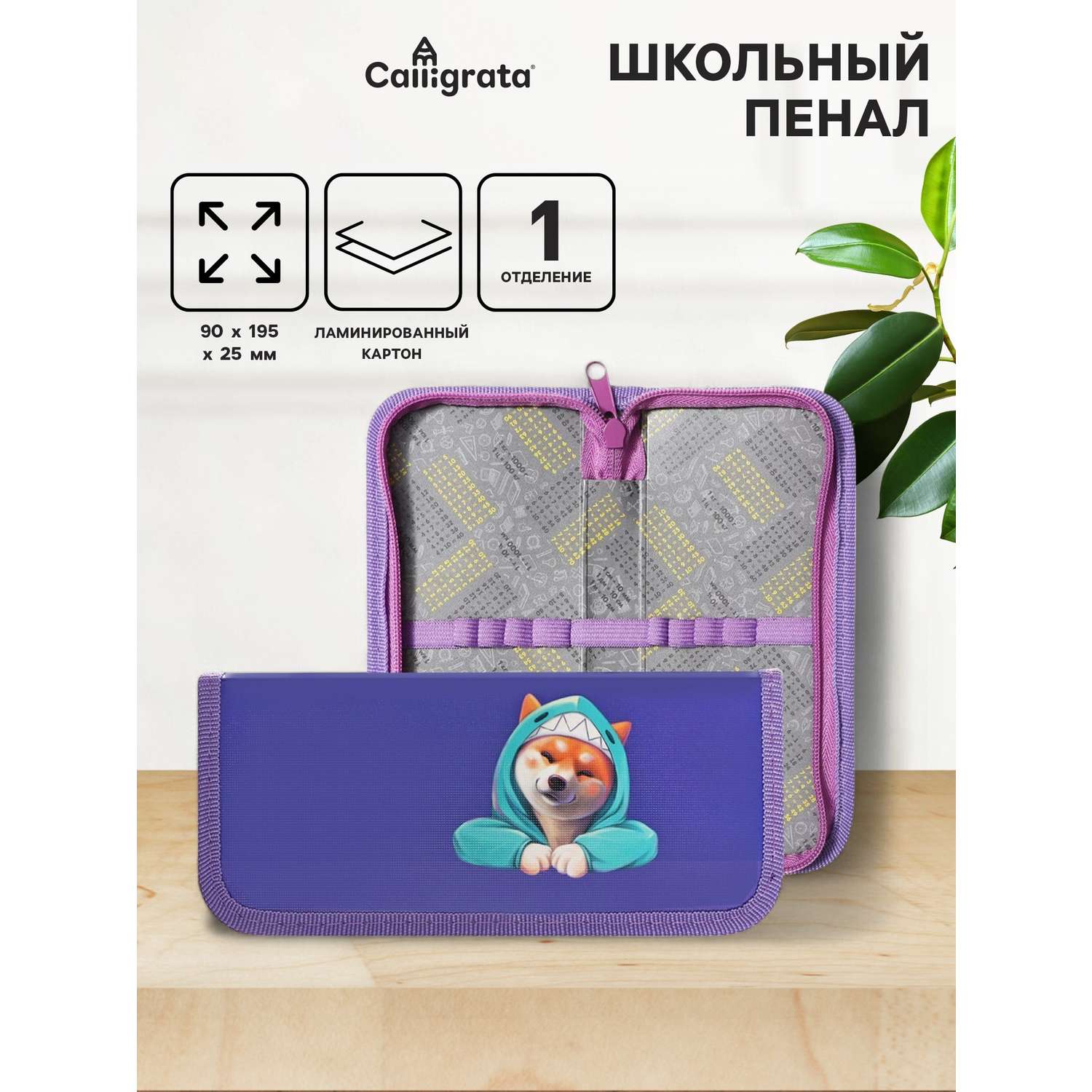 Пенал книжка Calligrata в ассортименте - фото 1