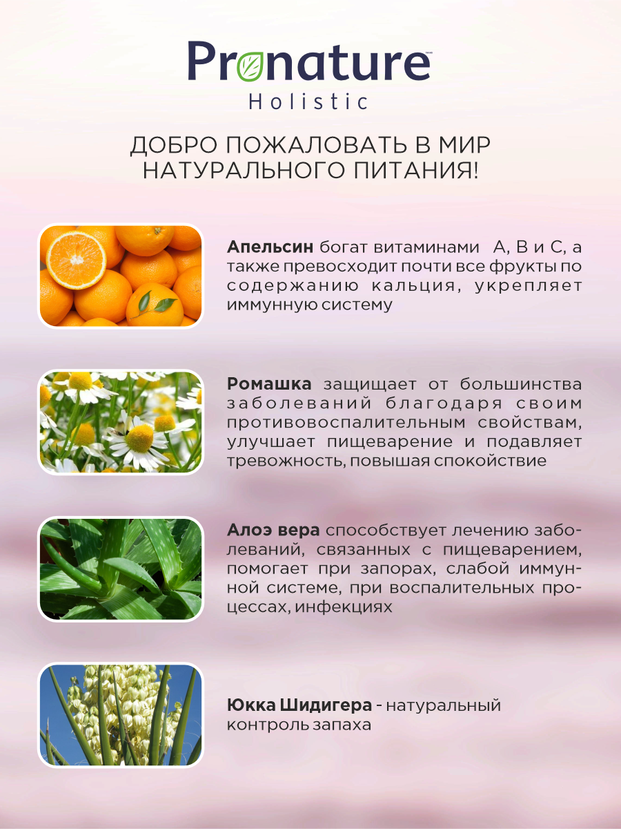 Корм для собак сухой Pronature Holistic Pan-Asia Grain Free беззерновой на утке с апельсином 10кг - фото 3