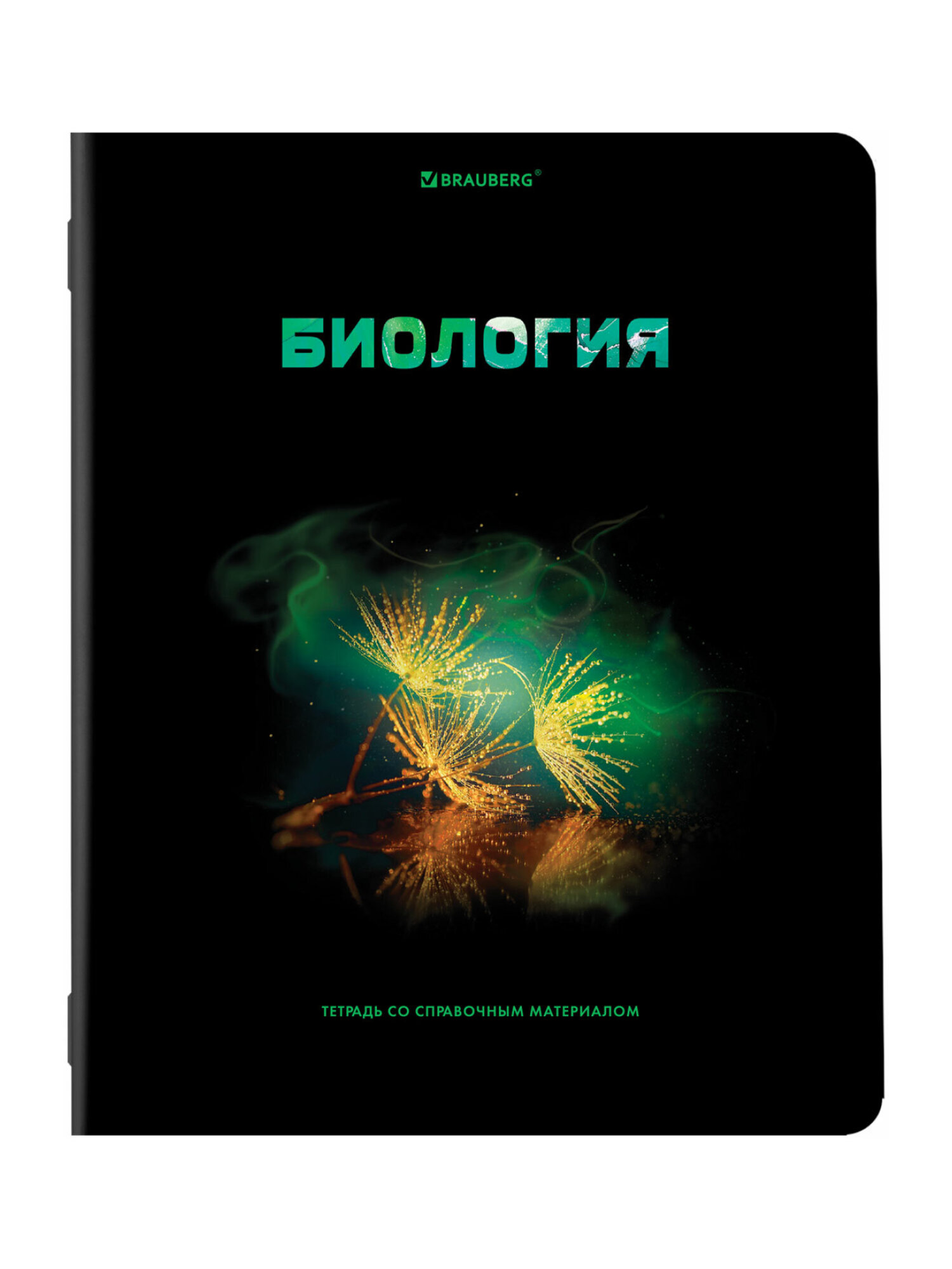 Тетрадь Brauberg 48 лист. 12 шт. - фото 18