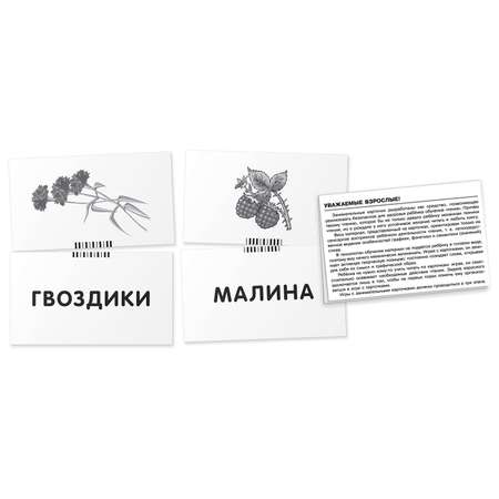 Набор карточек Айрис ПРЕСС Обучение грамоте 4 Собака Читаем по слогам