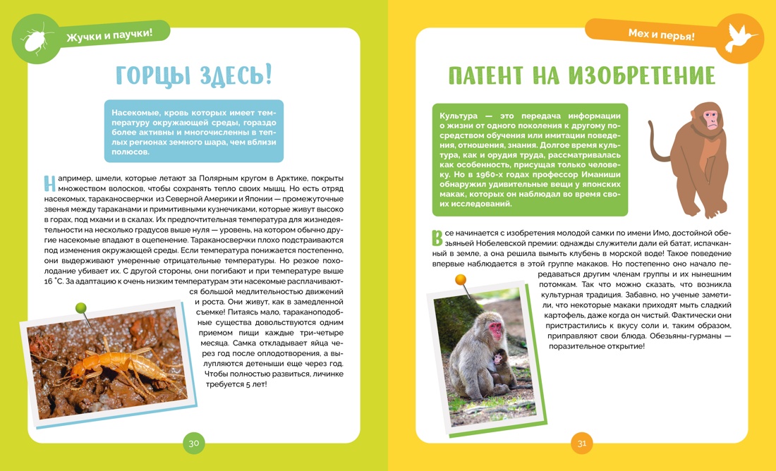 Книга Махаон Альбуи В. Невероятные животные - фото 10