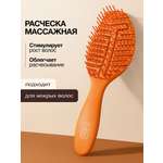 Расческа Tashe Professional