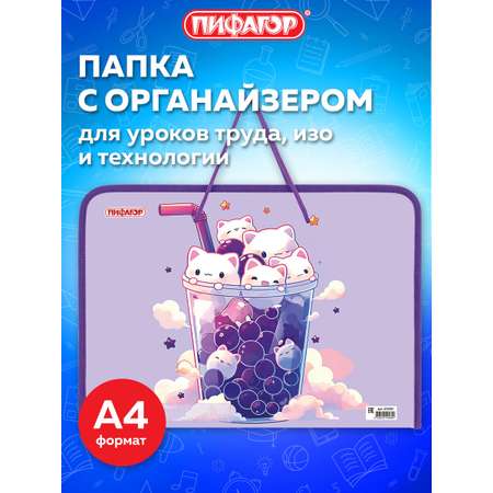 Папка для труда Пифагор А4