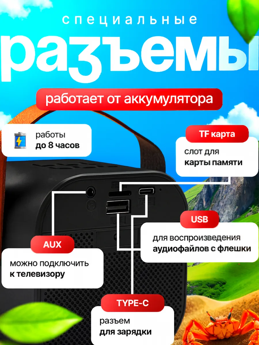 Колонка bluetooth, умная CASTLELADY караоке с 2 микрофонами - фото 4