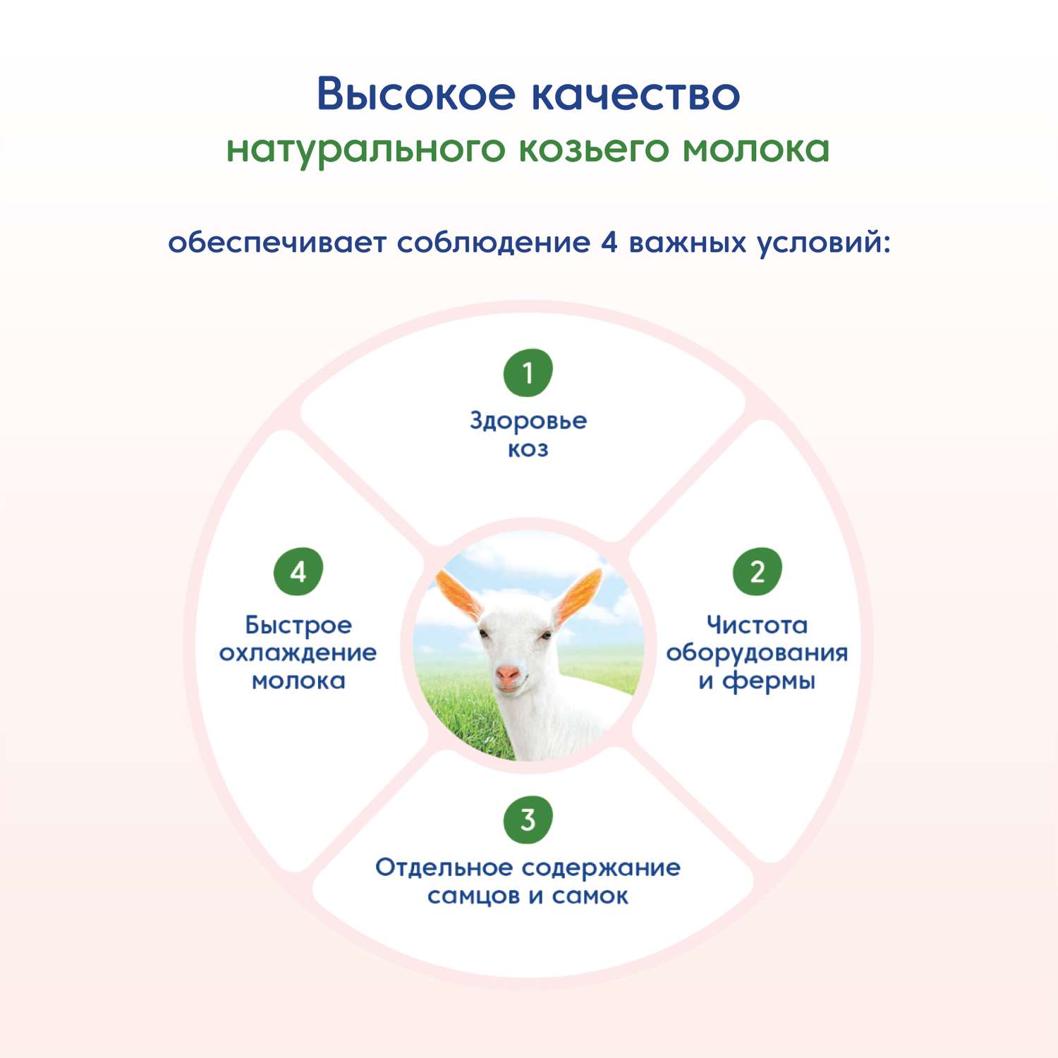 Каша Мамако гречневая с яблоком и морковью 200г с 5месяцев - фото 5