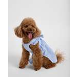 Изображение товара Сарафан для собак и кошек Зоозавр: XS