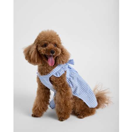 Сарафан для собак и кошек Зоозавр