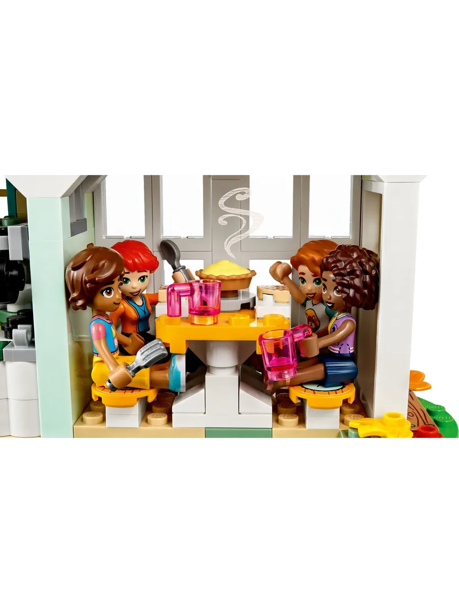 Конструктор LEGO Friends 853 дет. - фото 8