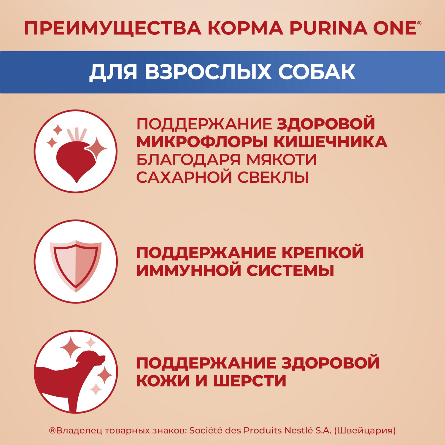Корм для собак Purina One средних и крупных пород говядина-рис 1.8кг - фото 4