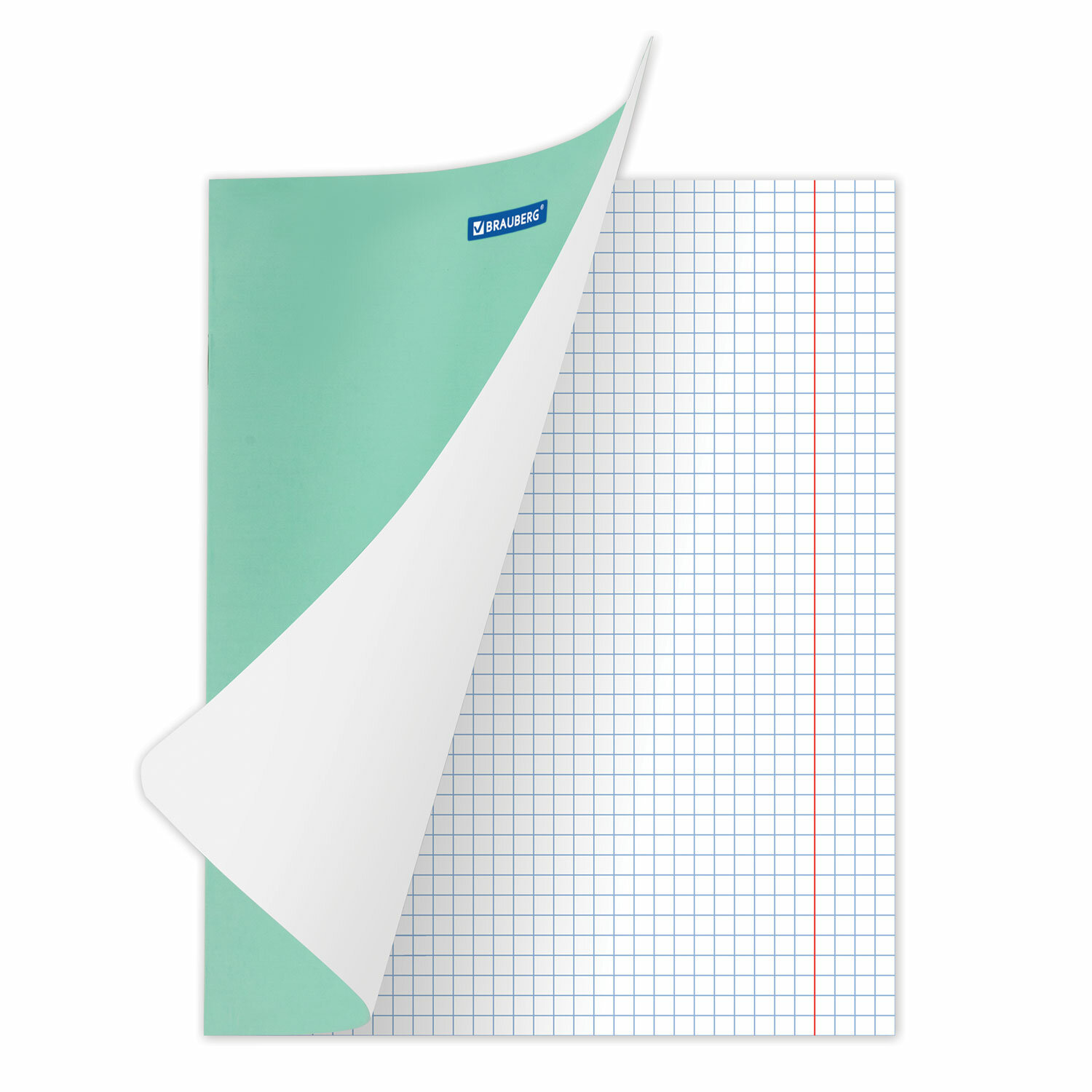 Тетрадь Brauberg клетка 12 лист. 20 шт. - фото 4