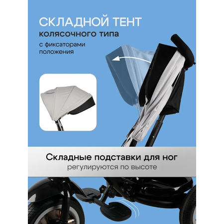 Трехколесный велосипед Velobibi 10 дюймов